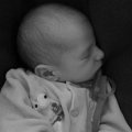 2012-12-27 10.38.57